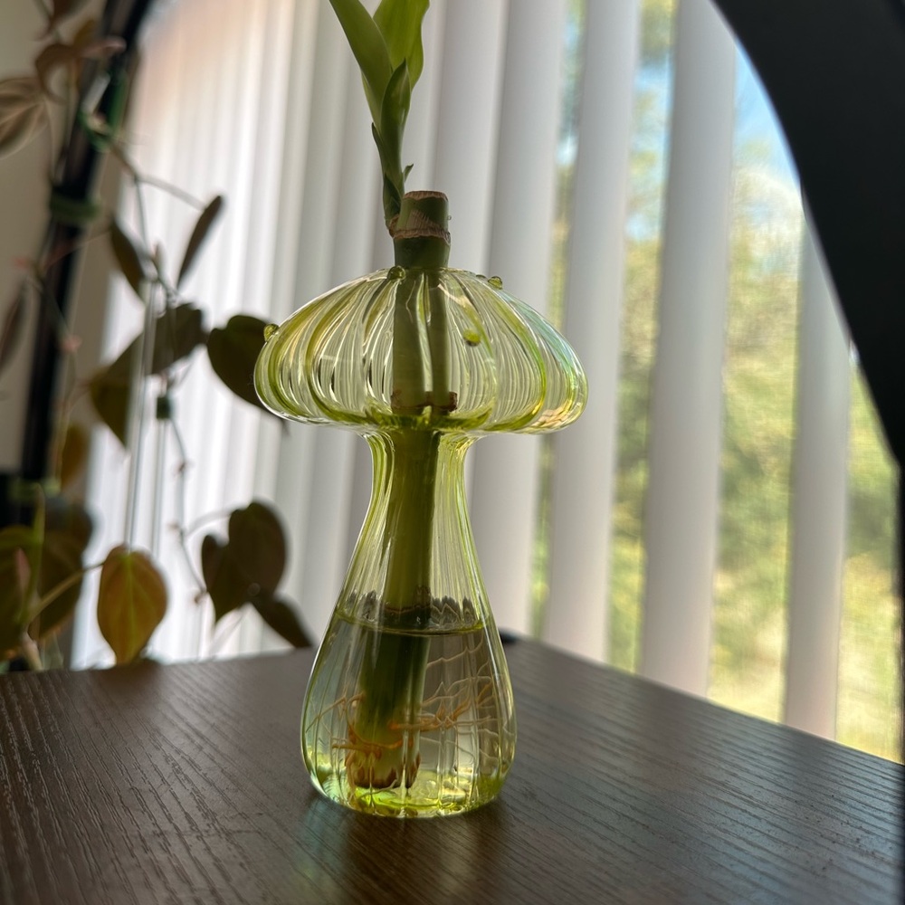 Elegant Green Glass Vase